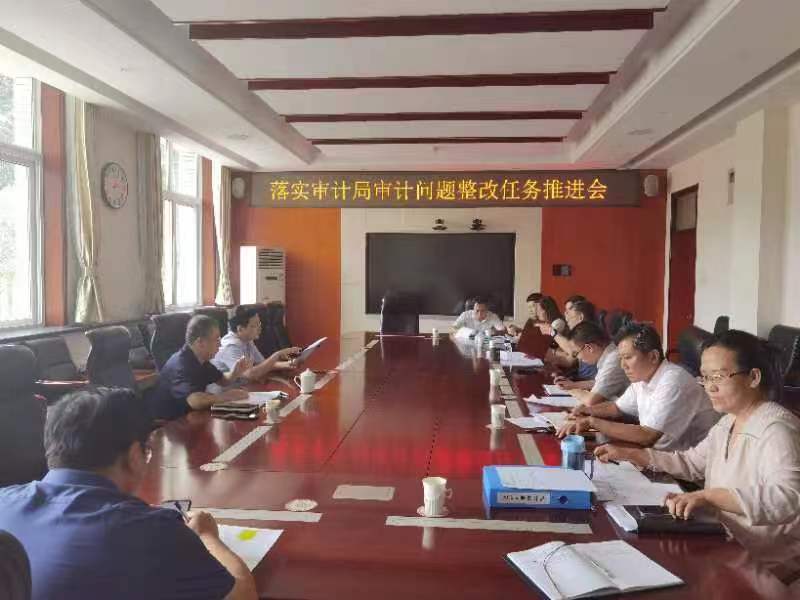 落实审计局经济责任审计问题整改推进会