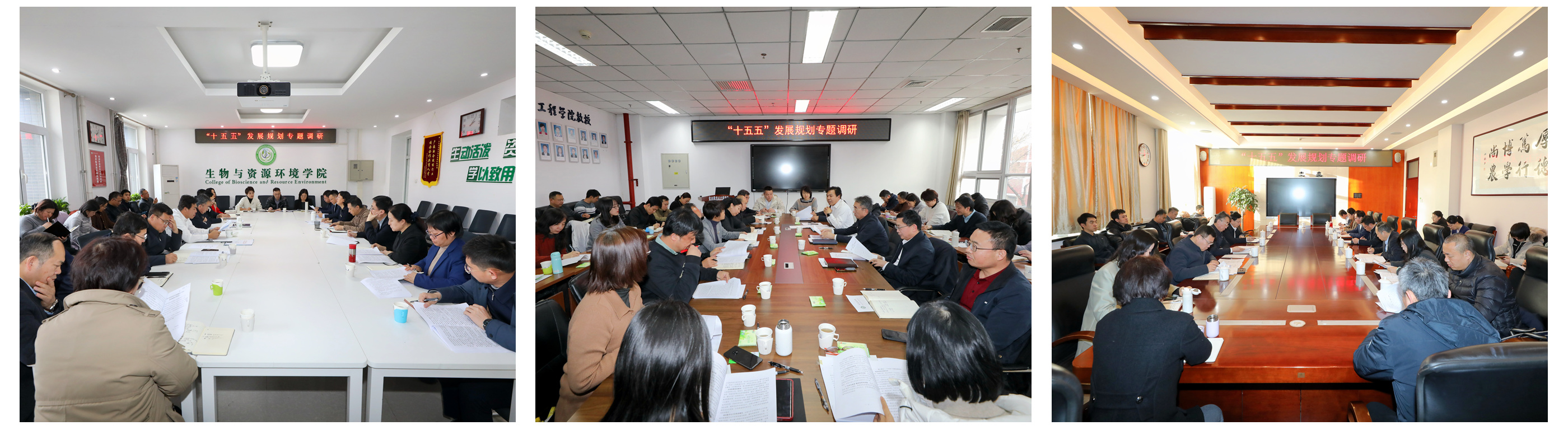 学校开展“十五五”发展规划专题调研 科学谋划高质量发展新蓝图-北京农学院