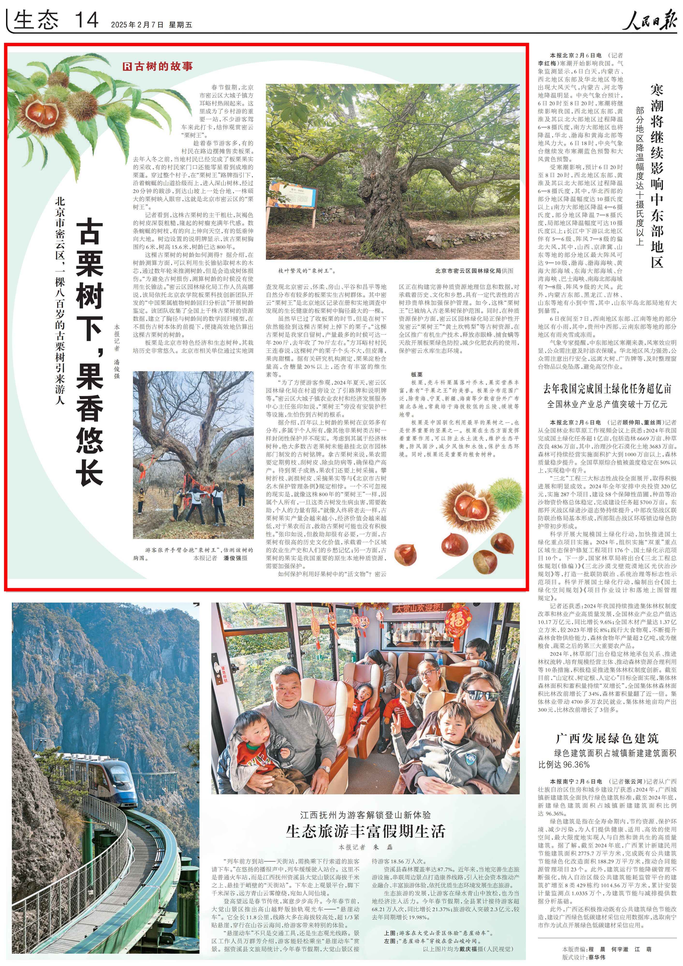 【人民日报】古栗树下，果香悠长-北京农学院