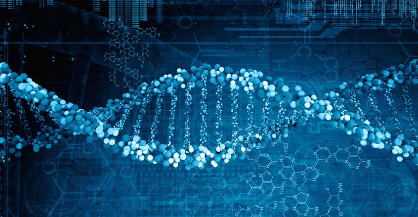 北京农学院生物信息中心成立暨学术交流会举行